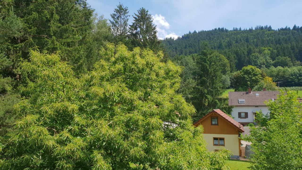 Silberkoenig Schwarzwald Hotel & Restaurant Ringhotel Gutach im Breisgau Esterno foto